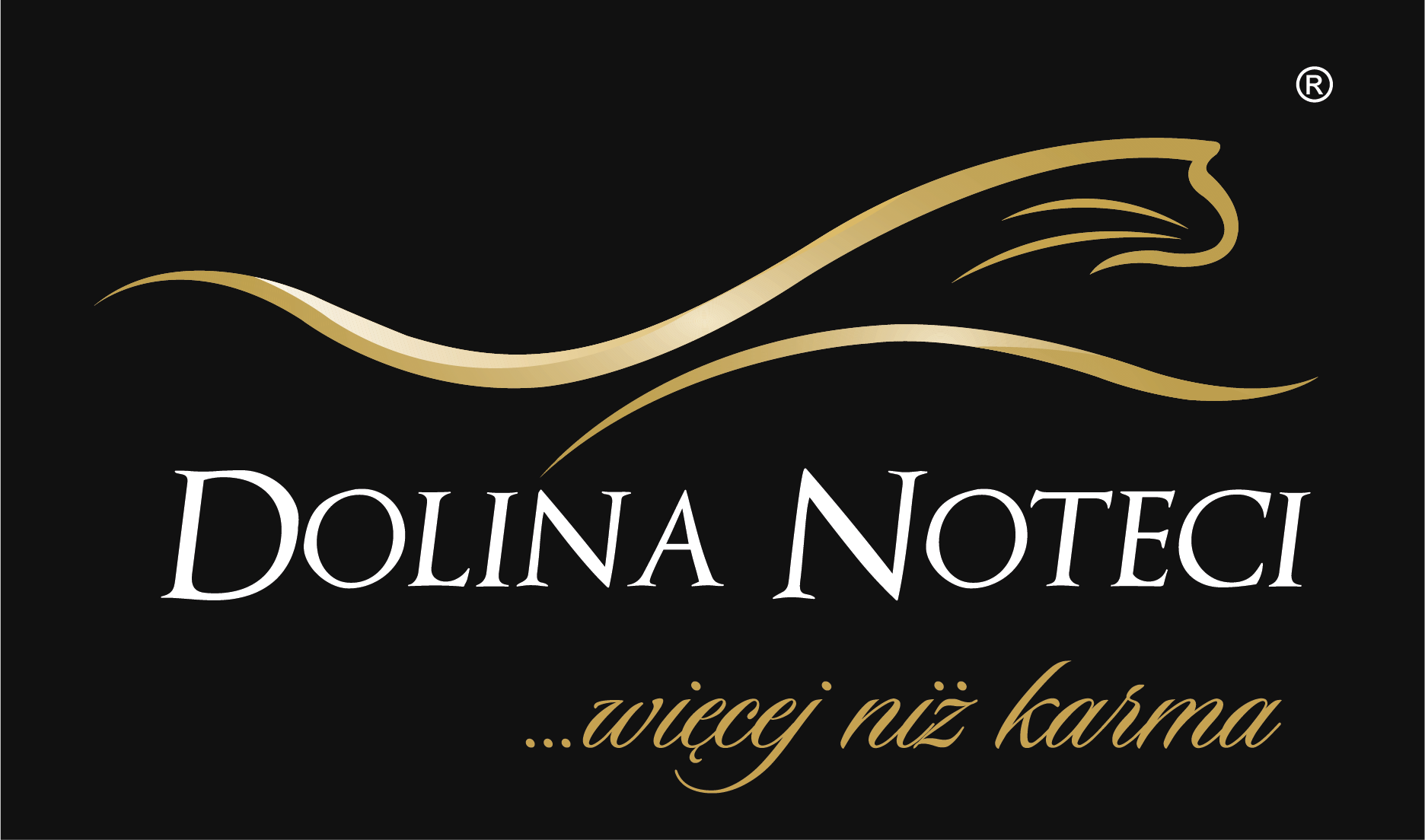 dolina noteci.png